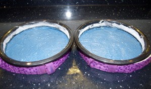 IMGP4004 Tue 27th - Basic blue cakes