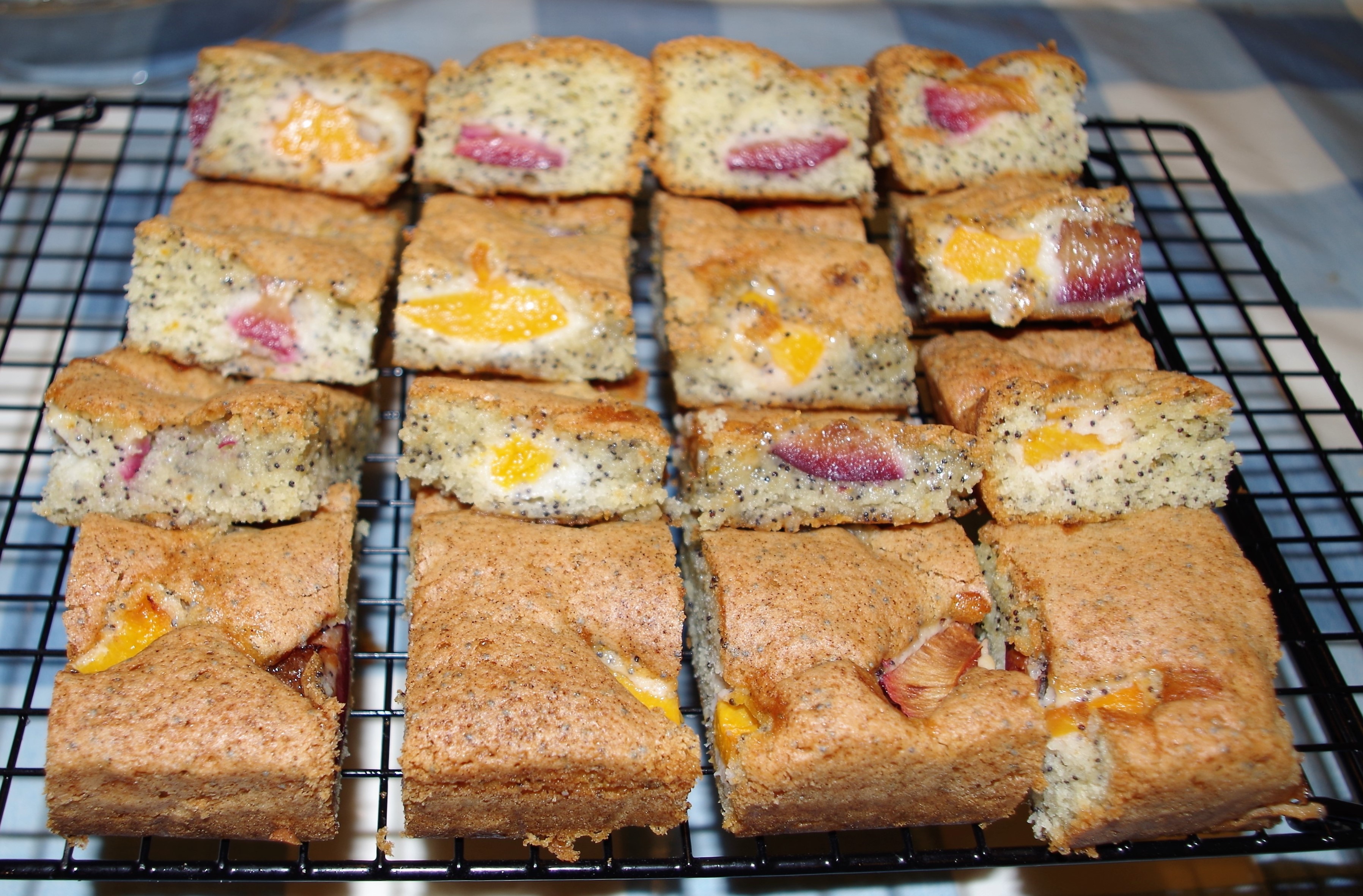 imgp4245 sat 5th jan - apricot, plum & poppy seed tray bake for citp meeting - 8